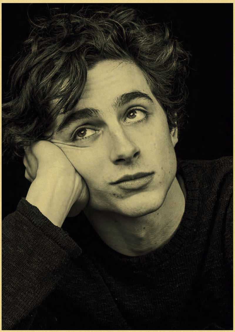 Timothee Chalamet Retro Canvas - đánh giá và giá Home Bar And Theater